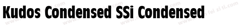 Kudos Condensed SSi Condensed Ital字体转换